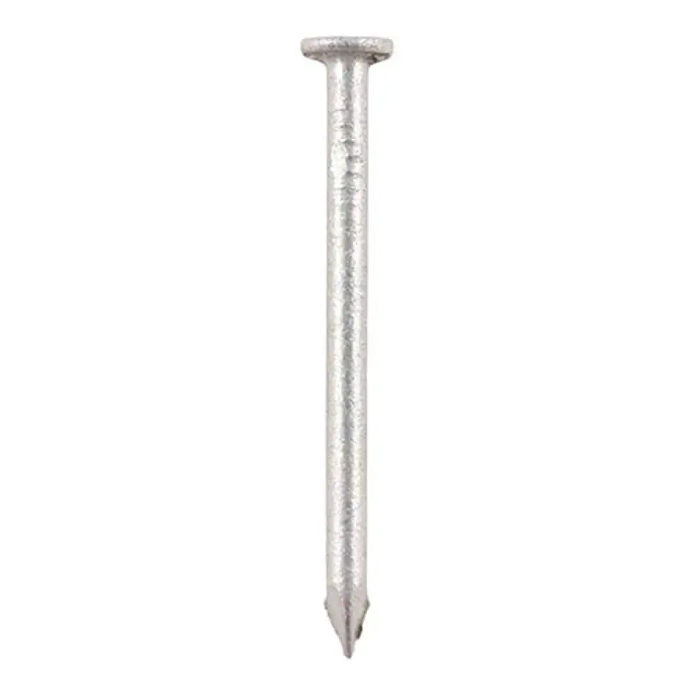 Galvanised Round Wire Nails 1kg