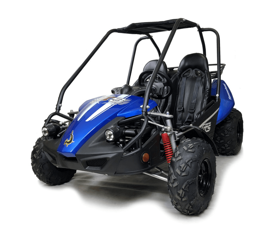 Hammerhead™ GTS150 Buggy with USA Specs