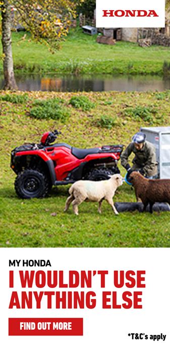 Honda ATV