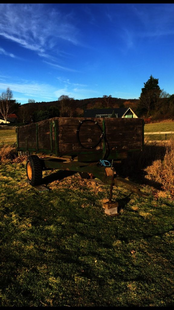 Ward 3 tonne tipping trailer