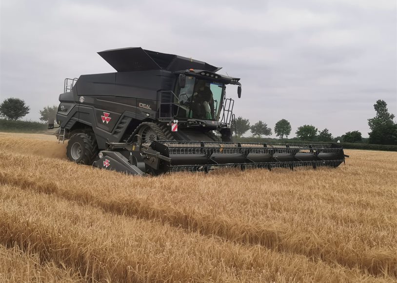 Massey Ferguson IDEAL 8T Combine