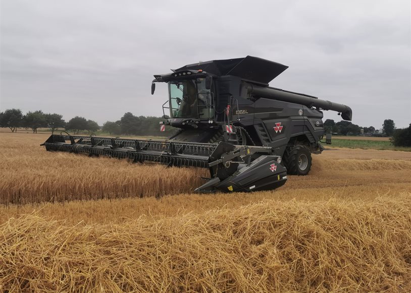 Massey Ferguson IDEAL 8T Combine