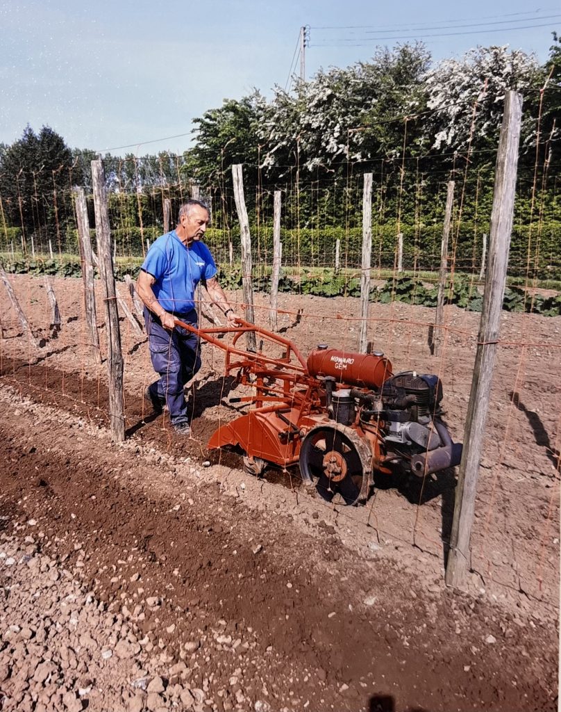 Howard gem rotovator