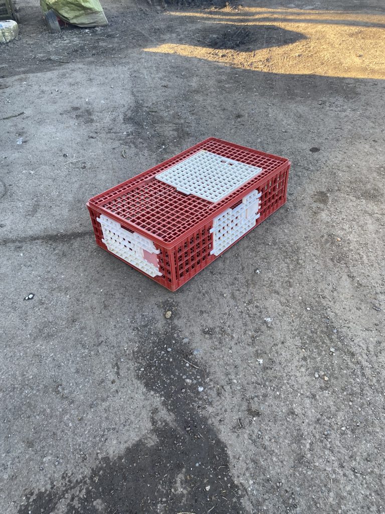 Poultry crate