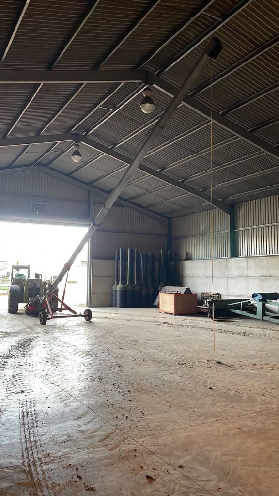 Grain Auger