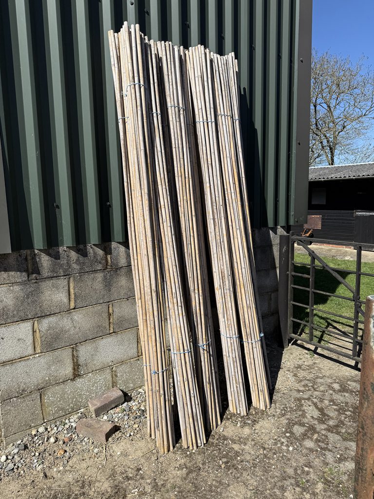 Bamboo canes
