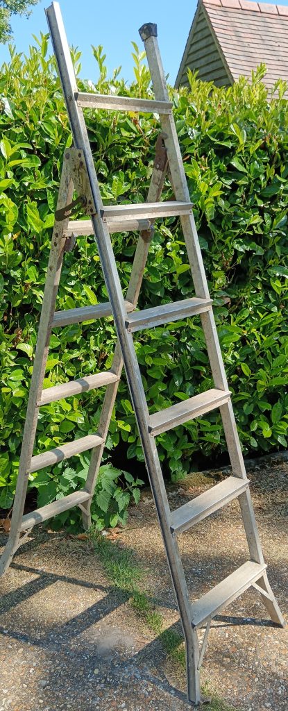 'A' Frame Extendable Ladder and Step Ladder