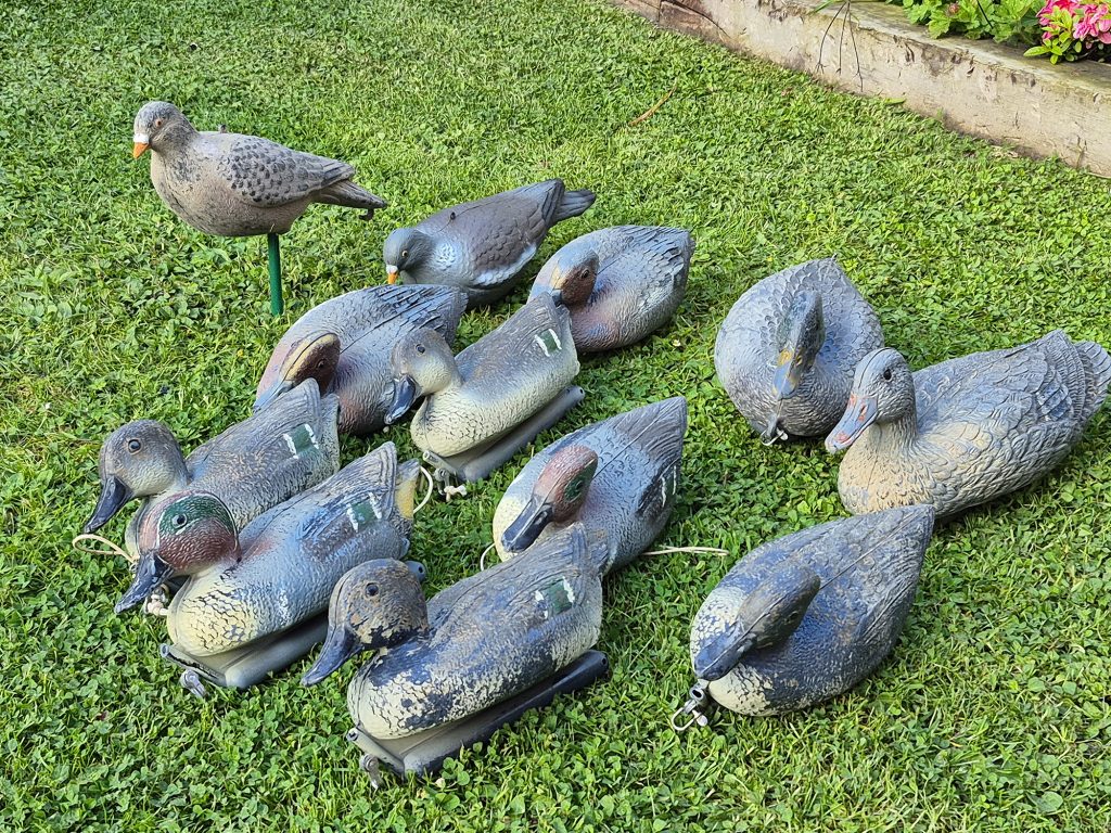 Duck decoys 