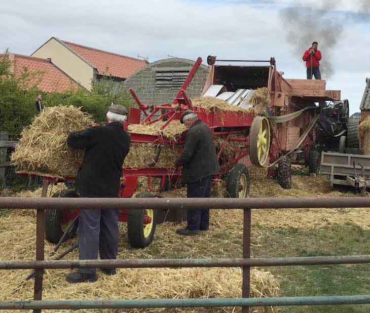 Thresher, bailer and binder