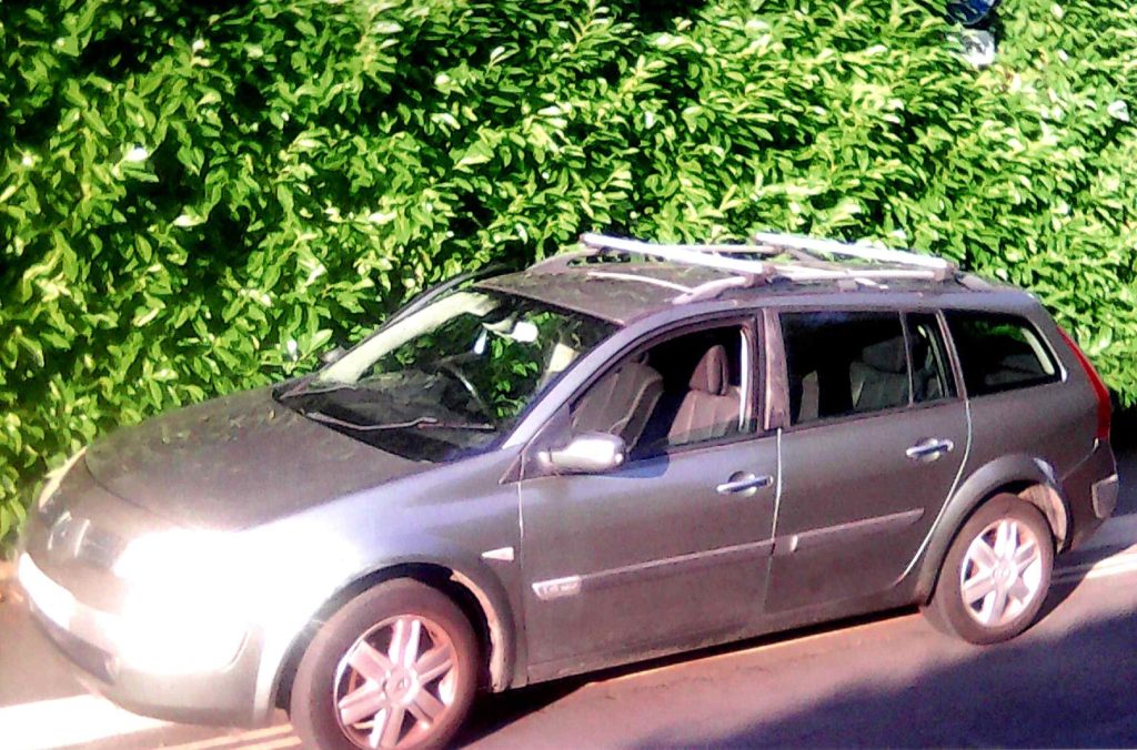 Renault "Auto" Megane 1.6 petrol 2004