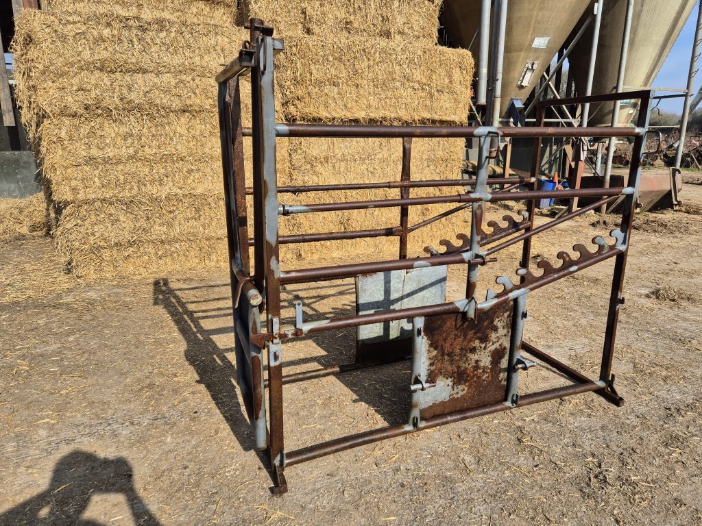 Cattle Crush