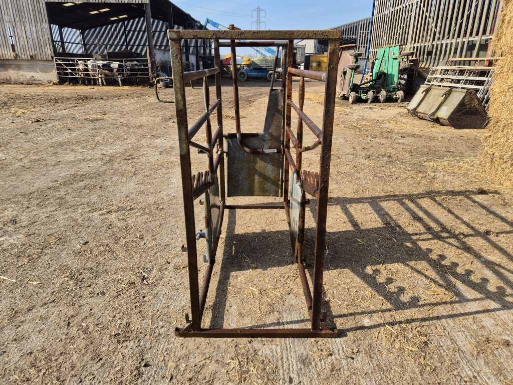 Cattle Crush