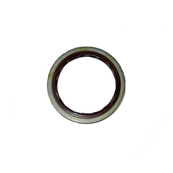 TGB Oil Seal 924162
