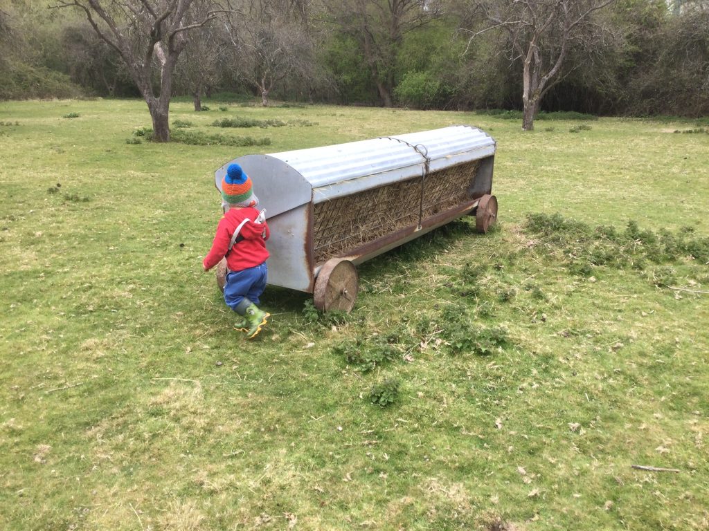 Hay Rack