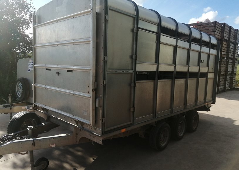 Ifor Williams DP120 14' Trailer