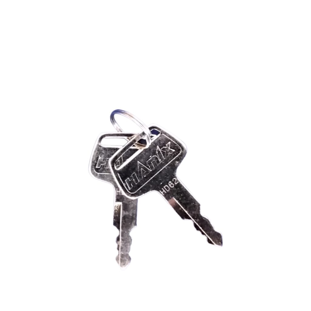 Hanix Ignition Keys (Pair)