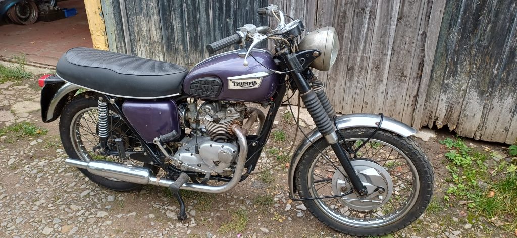 Triumph T100