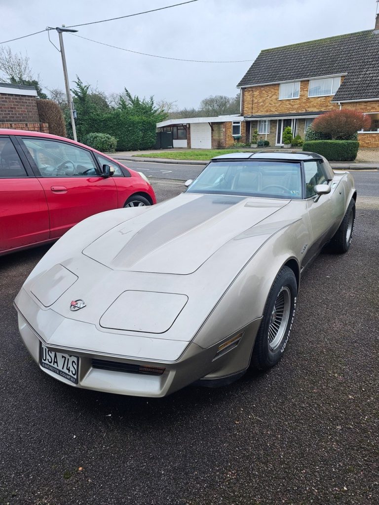 Corvette Collector 1982