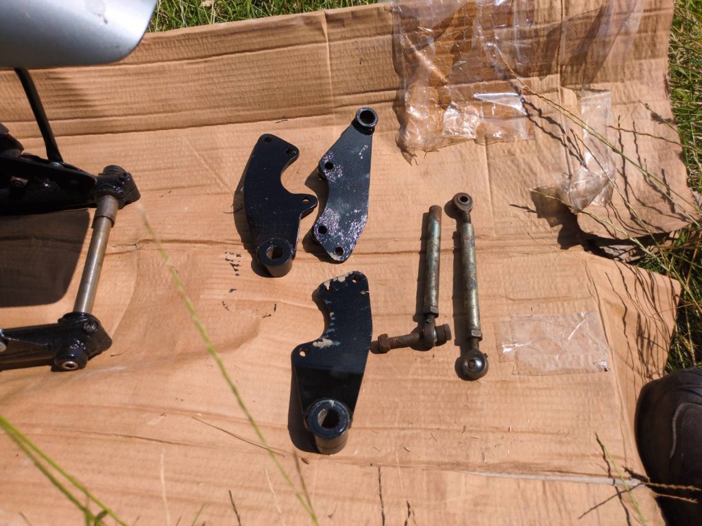 Wasp Leading Link Forks